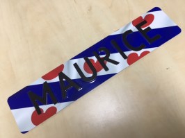 Kentekenplaat friese vlag IMG_3047