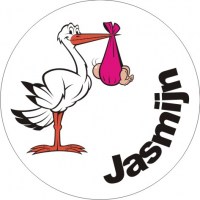 geboortebordmeisjeA8